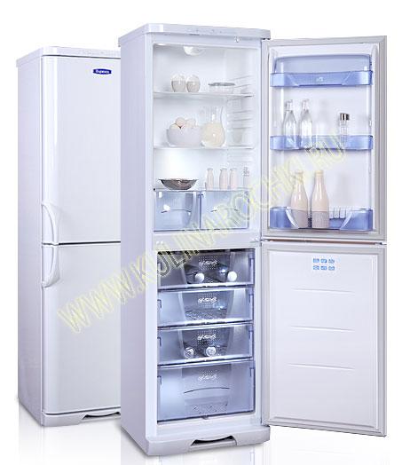 Холодильники Бирюса фото